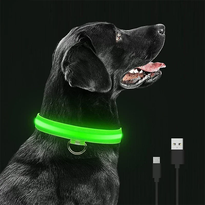 Dog Collar